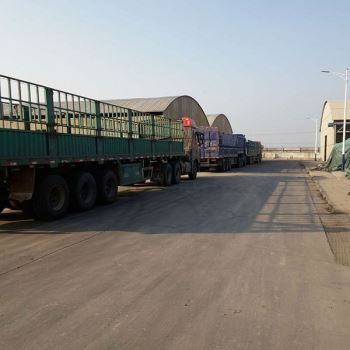 山东饲料添加剂