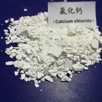 山东丝瓜视频色版成人APP下载厂家