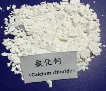 片状丝瓜视频色版成人APP下载