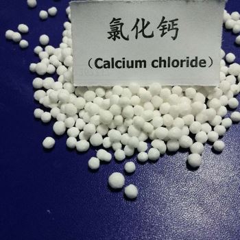 潍坊丝瓜视频色版成人APP下载颗粒